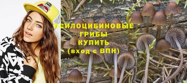 ALPHA PVP Верея